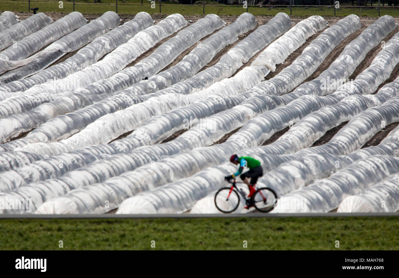 Agriculture, farming, Greenhouses, mobile, made of plastic, plastic tunnel, for fast growing of crops, vegetables, fruits, in the field, even before t Stock Photo