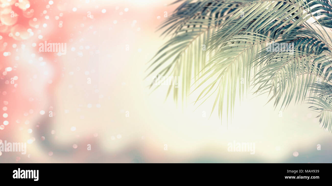 Blur palm leaves in tropical hi-res stock photography and images - Alamy