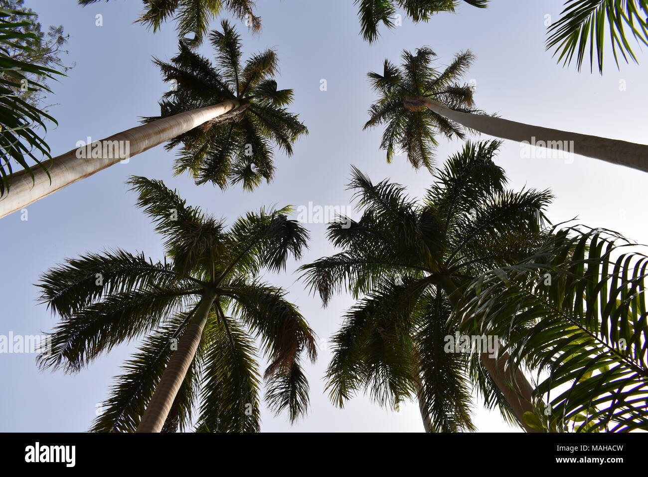 Life Is Like A Camera So Face It With A Smile Stock Photo Alamy