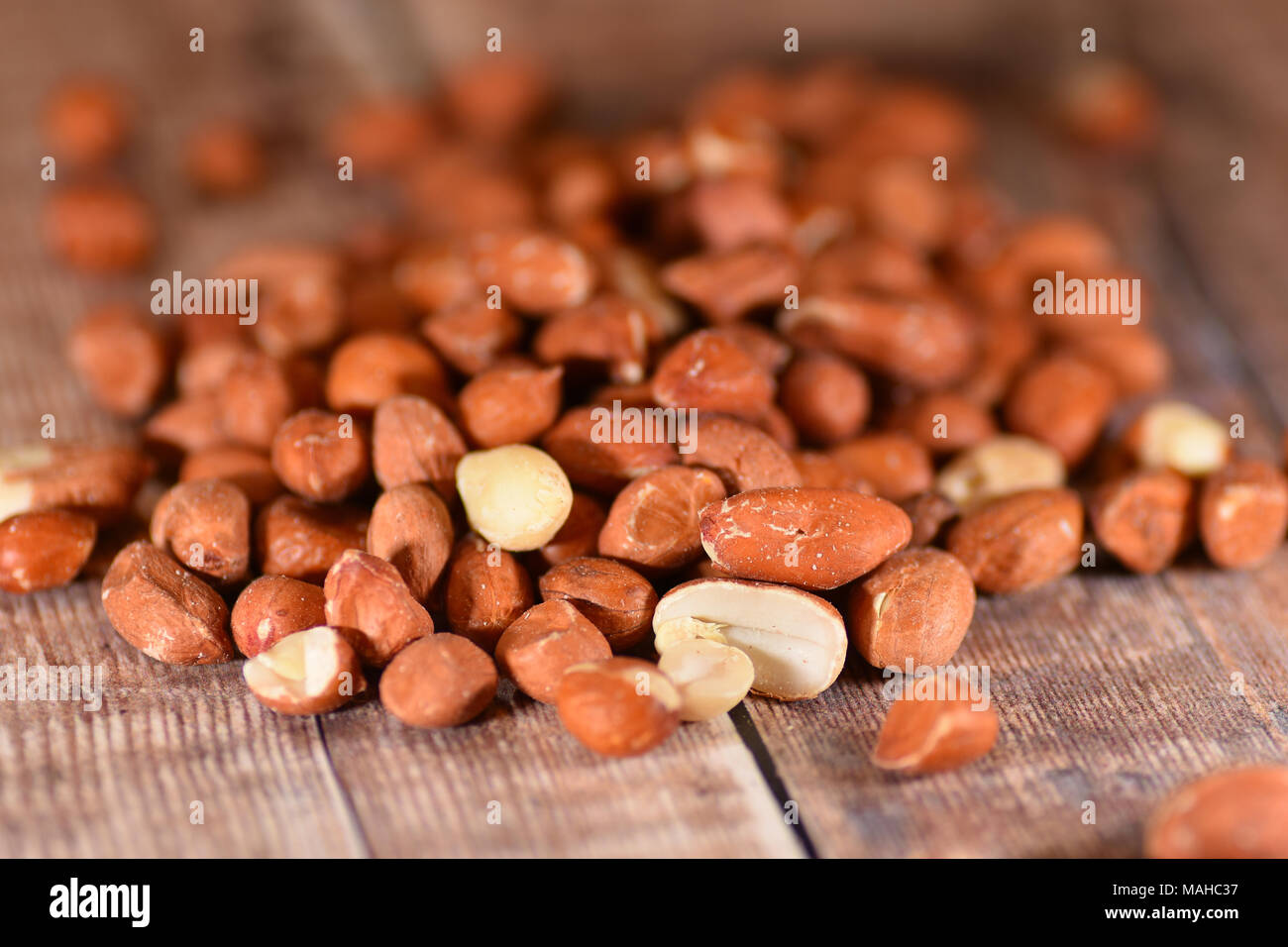 Birdfood birds bird hires stock photography and images Alamy