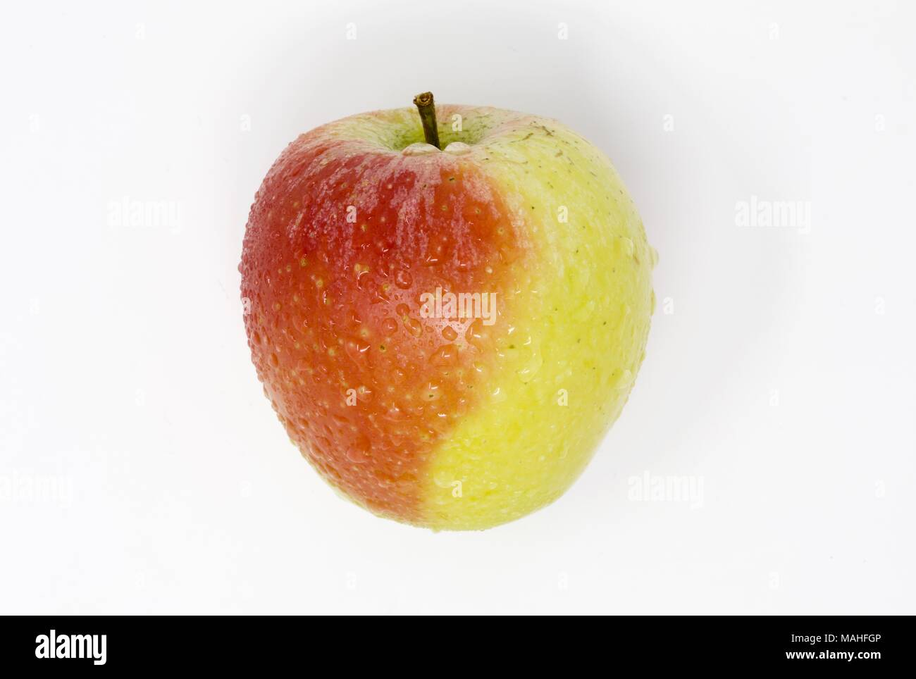 Sweet, juicy Royal Gala apple with water droplets on a white background