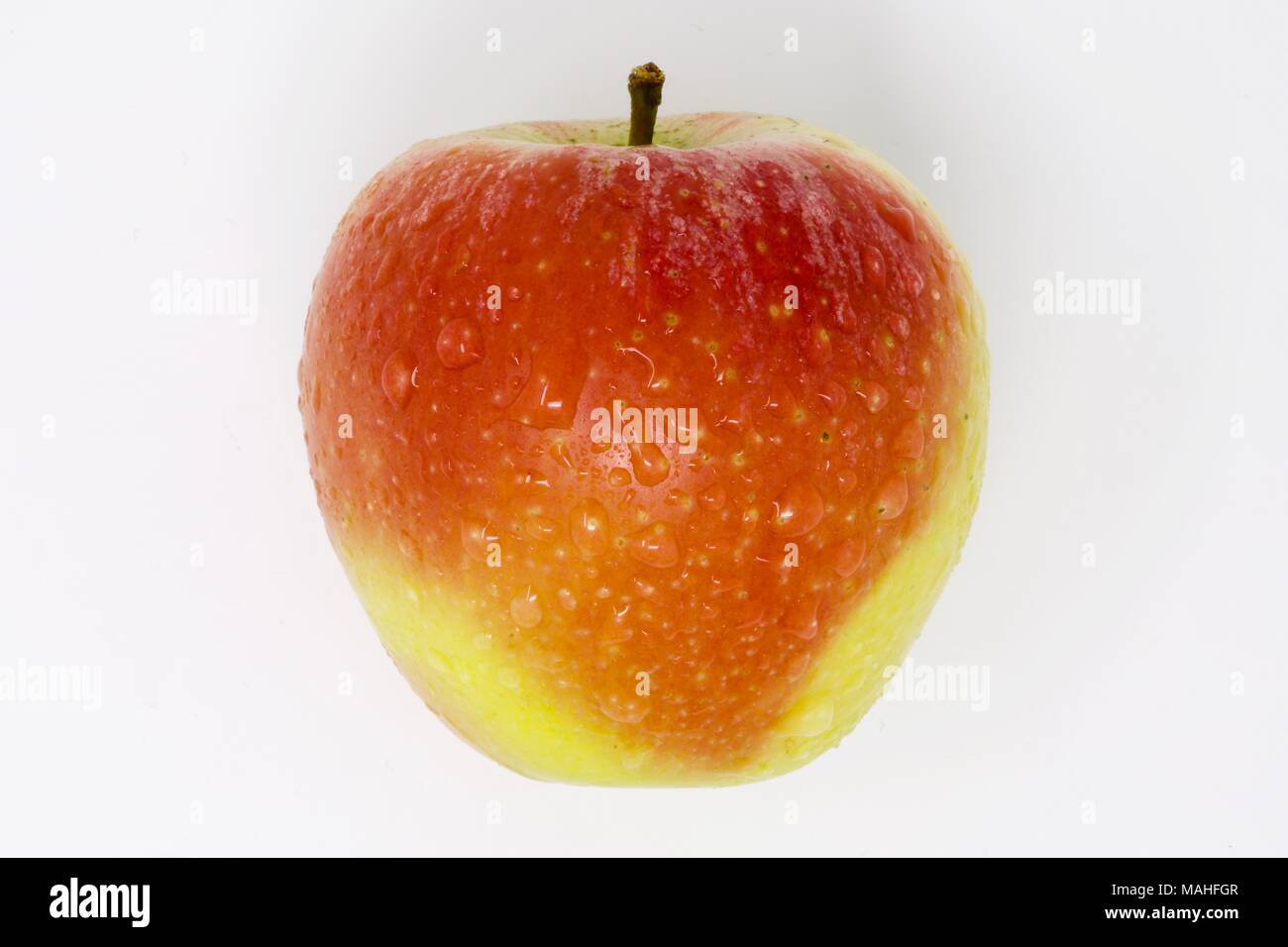 Sweet, juicy Royal Gala apple with water droplets on a white background