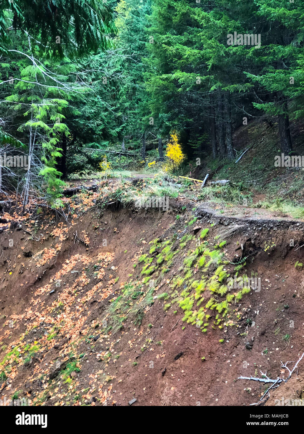 Road Closed Due To Landslide in Oregon Stock Photo Alamy