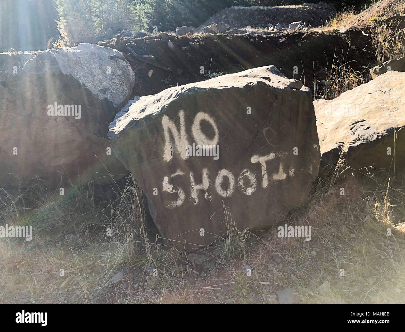 No Shooting Painted on Rock Stock Photo