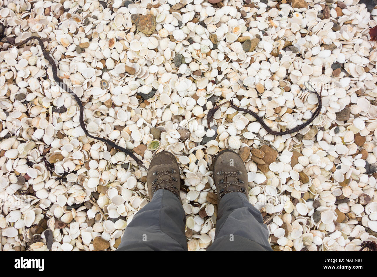 womans feet wearing walking hiking boots standing on shell beach Fife