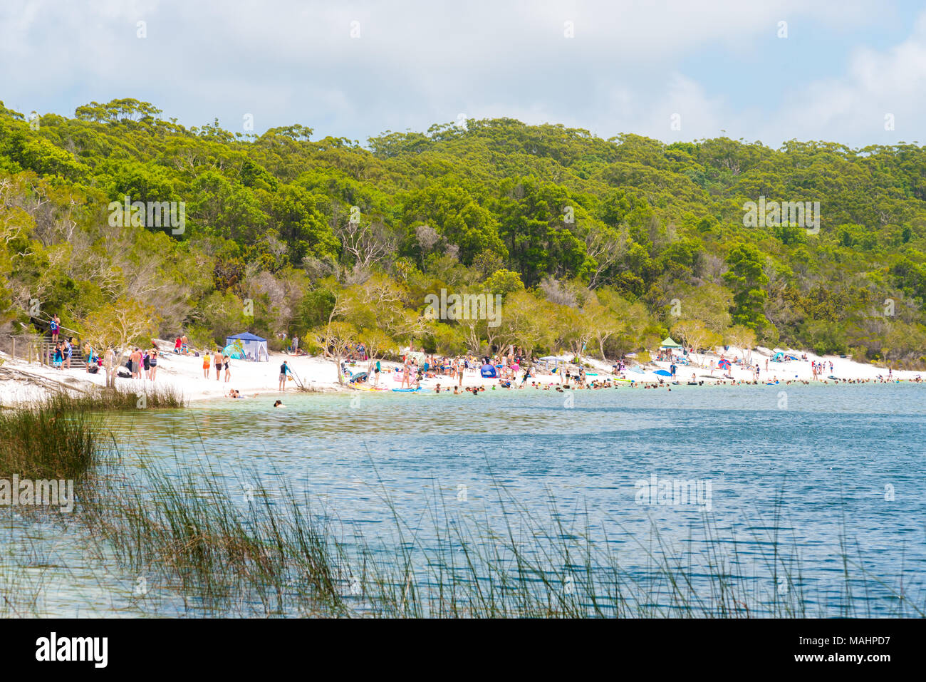Fraser Island, QLD, Australia - December 31, 2017: People at the beach at Lake McKenzie, one of the popular freshwater lake at Fraser Island, Stock Photo