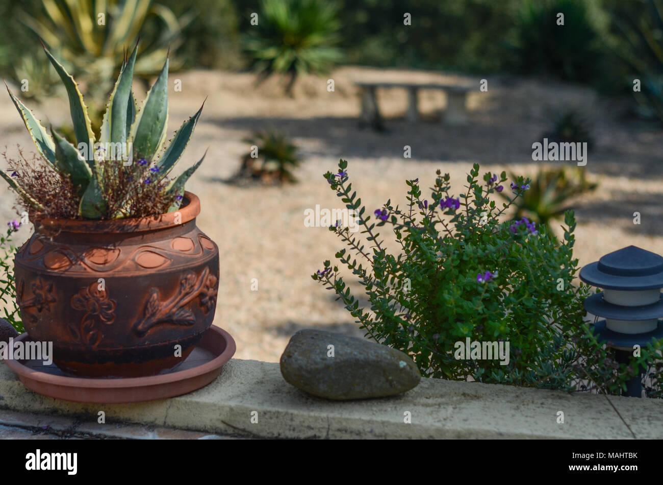 Spanish Flowers And Pot Plants In A Garden High Up In The Girona