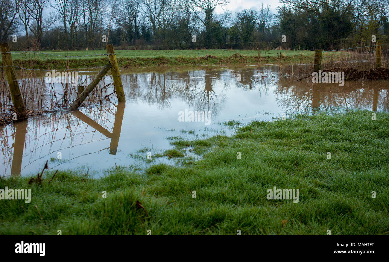 High water levels from a river causing flooding, brought on by climate