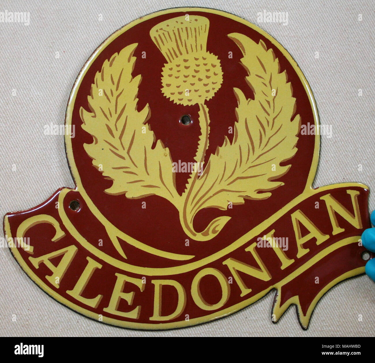 Stone enameled fire mark for Caledonian Insurance Company in Edinburgh,  Scotland showing gold thistle painted on maroon-brown background and name  on banner below Title: Fire mark for Caledonian Insurance Company in  Edinburgh,, image size:1300x1257