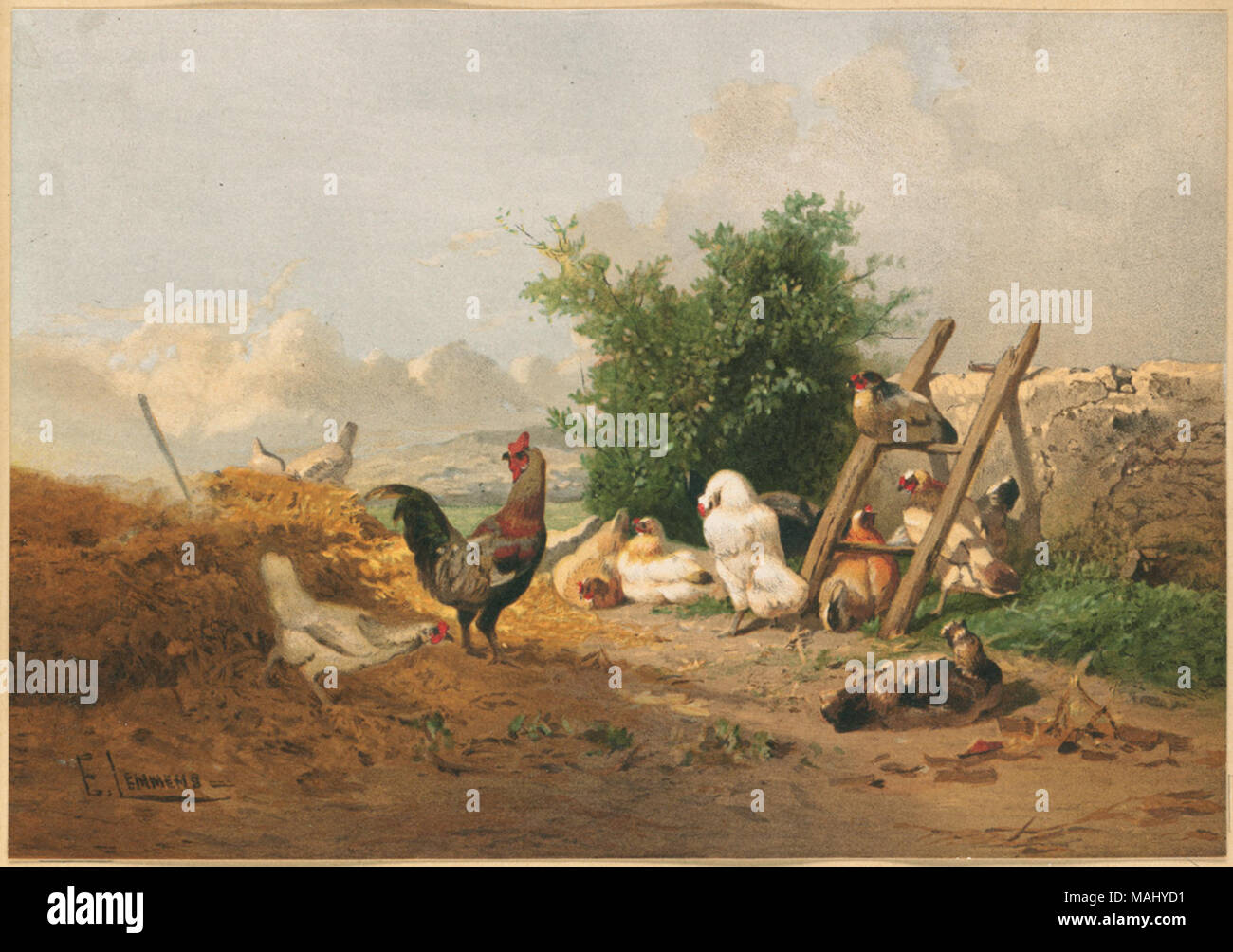 07 11 000683 Title: Poultry Life - B Creator/Contributor: Lemmens, E. (artist); L. Prang & Co. (publisher) Date issued: 1861-1897 (approximate)  Physical description note: Genre: Chromolithographs; Genre prints Location: Boston Public Library,    on 2011-08-07: Camera: Sinar AG Sinarback 54 FW, Sinar m Stock Photo