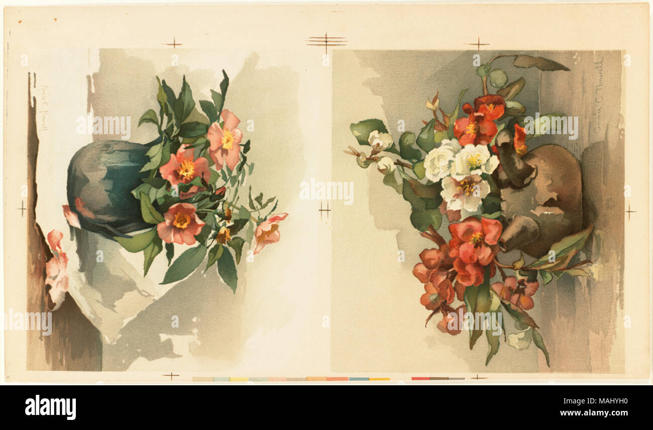 File name: 07 11 000811 Title: Two Florals on One Sheet Creator/Contributor: Nowell, Annie C. (artist); L. Prang & Co. (publisher) Date issued: 1861-1897 (approximate)  Physical description note: Genre: Chromolithographs; Still life prints Notes: Title supplied by cataloger. Location: Boston Public Library,    on 2011-08-06: Camera: Sinar AG Sinarback 54 FW, Sinar m Stock Photo
