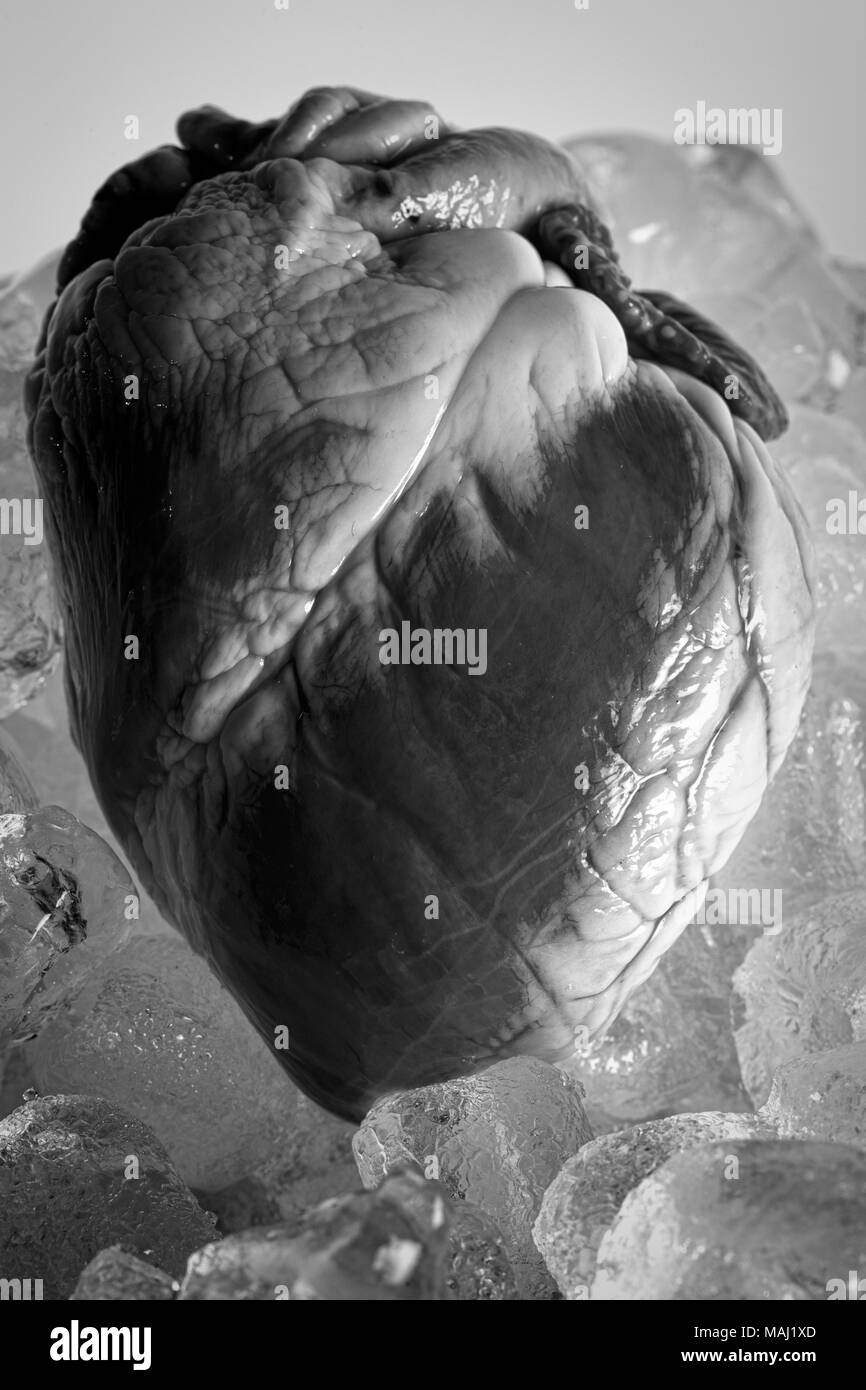 Cold Heart Stock Photos & Cold Heart Stock Images - Alamy