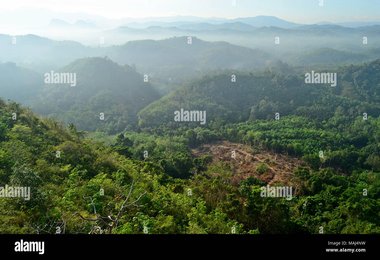 Meratus mountains of South Kalimantan, Indonesia. Stock Photo