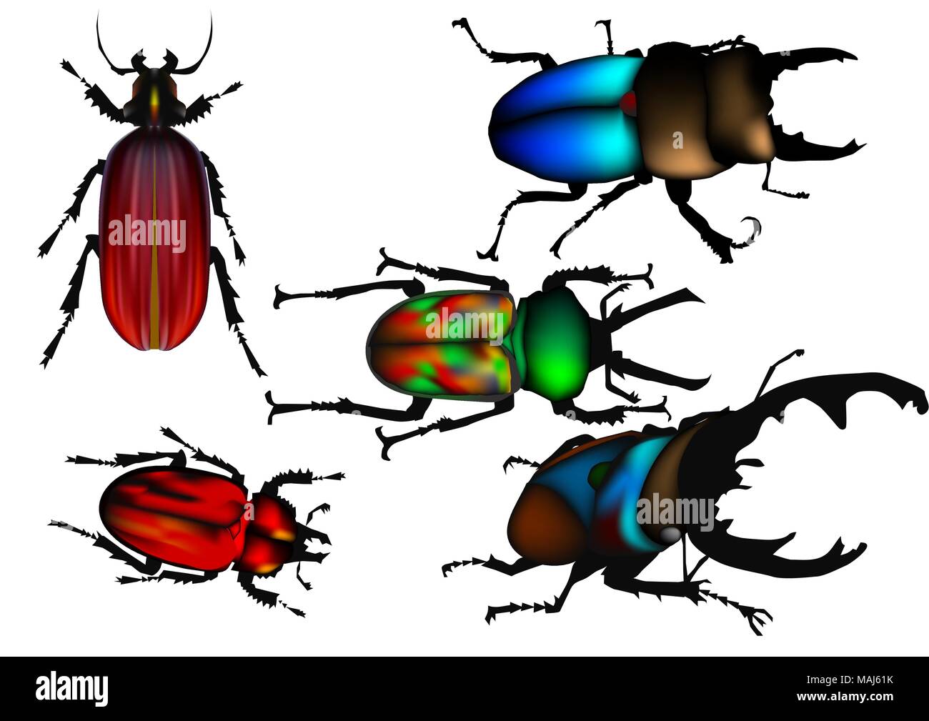 set of beetle isolated on white background Stock Vector Image & Art - Alamy