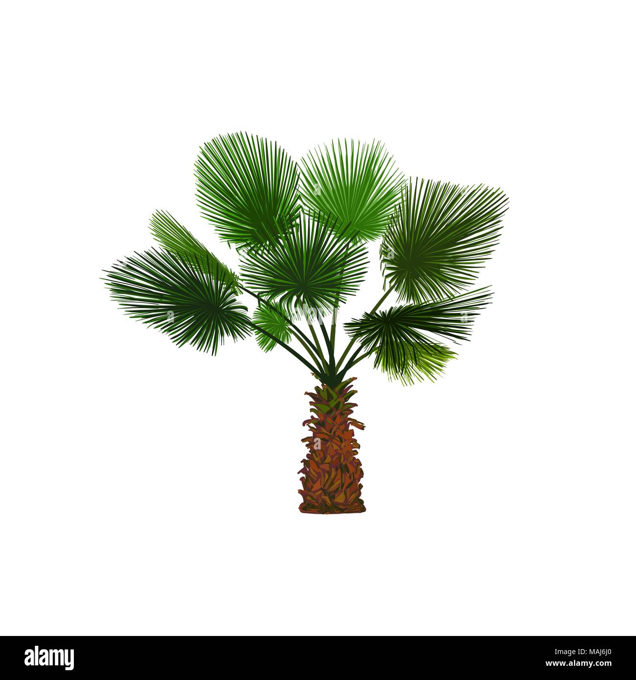 Vector illustration of color fun palm. Tropical palm tree Stock Vector