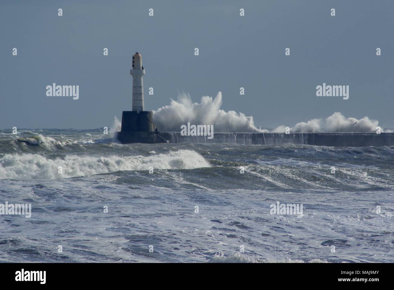 Wild Winter North Sea Storm Waves Batter Aberdeen Harbour, Scotland, UK