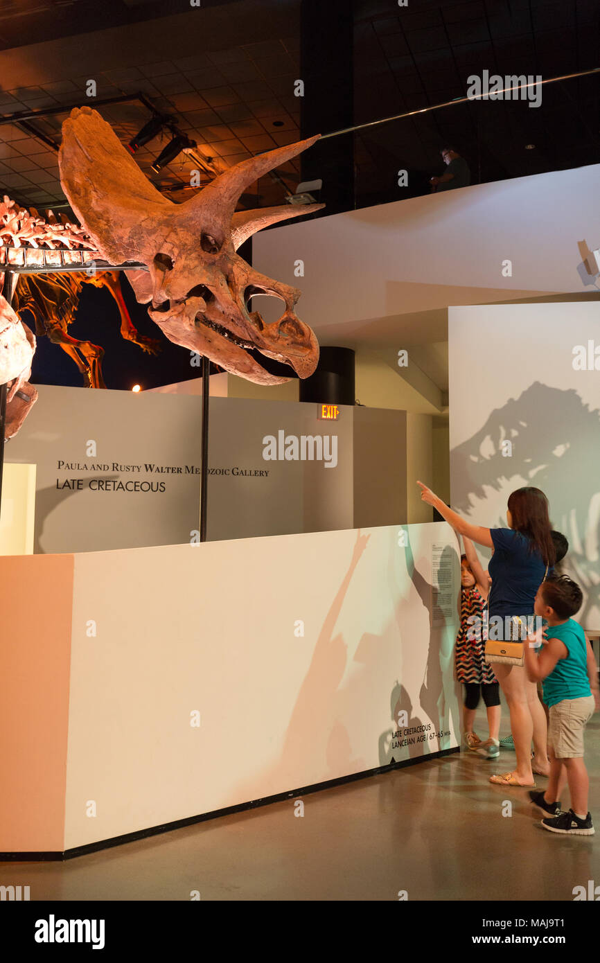 A family with children looking at a triceratops dinosaur skeleton fossil, in a dinosaur museum, USA Stock Photo