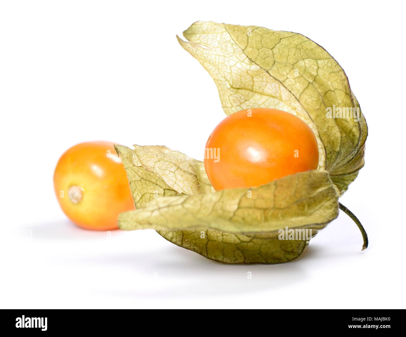 Isolated physalis or winter cherry, fresh fruits on white background. Ripe gooseberry, arrangement. Stock Photo