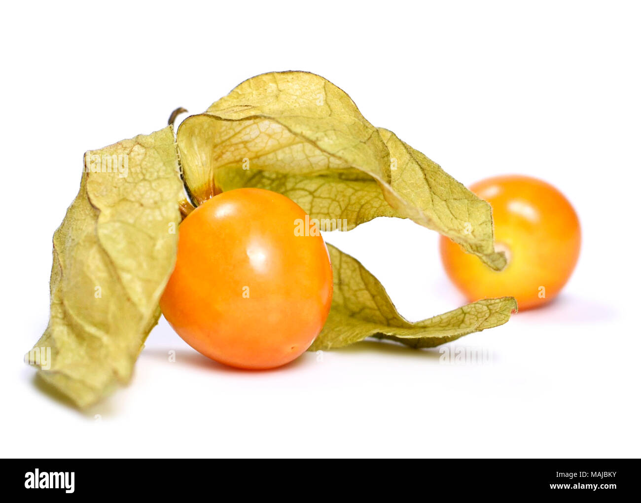 Isolated physalis or winter cherry, fresh fruits on white background. Ripe gooseberry, arrangement. Stock Photo