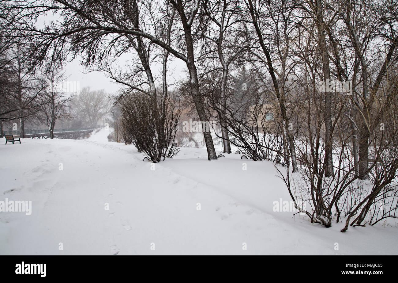 Prairie Winter Scene in Saskatchewan Canada cold weather Stock Photo