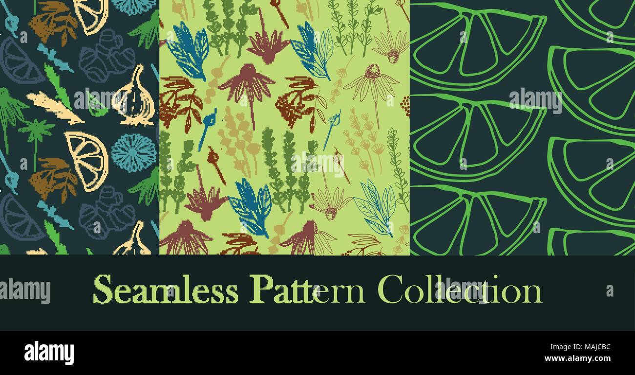 Herbs and medicinal plants seamless patterns Stock Vector Image & Art ...