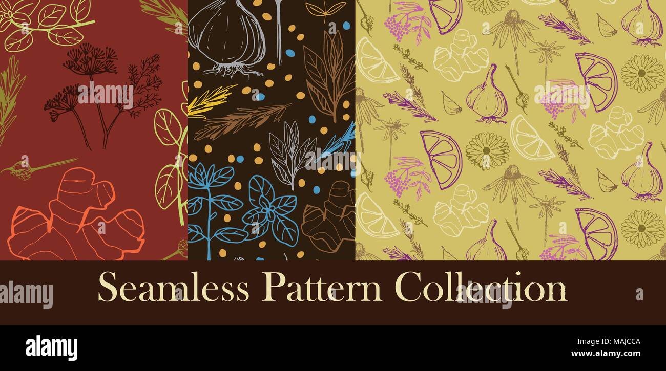 Herbs and medicinal plants seamless patterns Stock Vector Image & Art ...