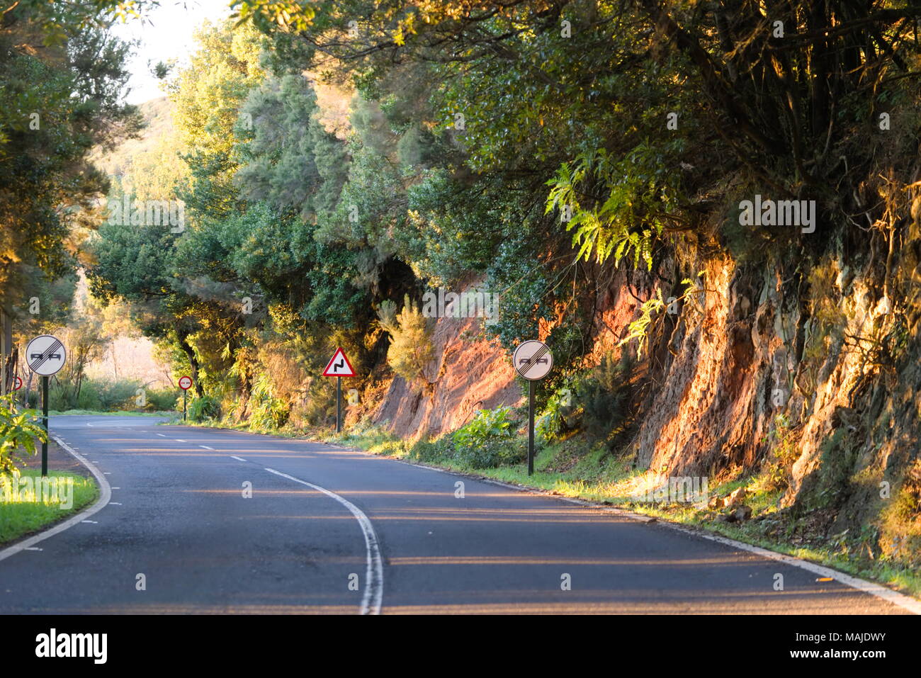 Street light through trees hi-res stock photography and images - Alamy