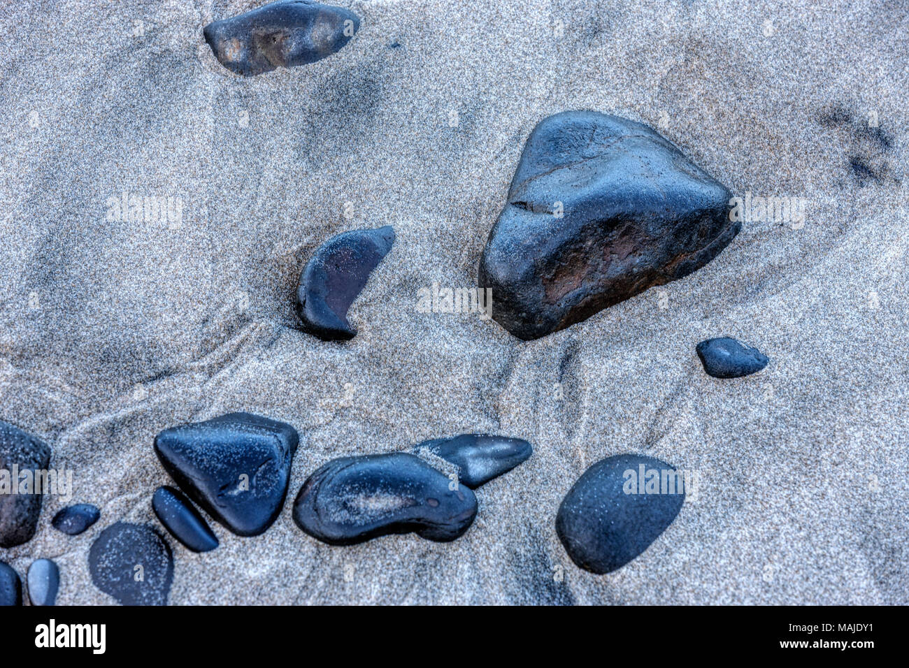 Close up of wet rocks in the sand on a beach in Oregon. Stock Photo