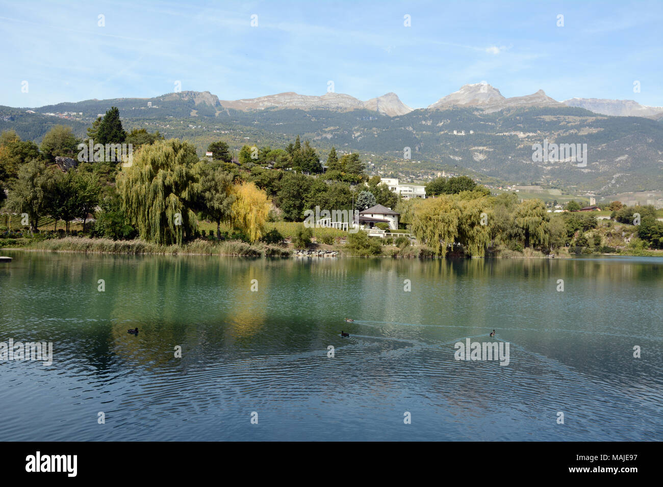 A leafy garden at Lac de Geronde, below the Bernese Alps. in the Swiss city of Sierre, in the canton of Valais, southern Switzerland. Stock Photo