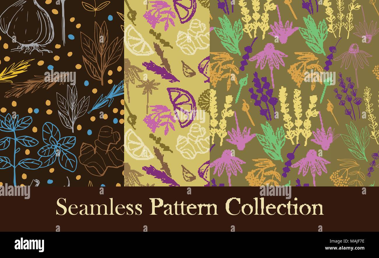 Herbs and medicinal plants seamless patterns Stock Vector Image & Art ...