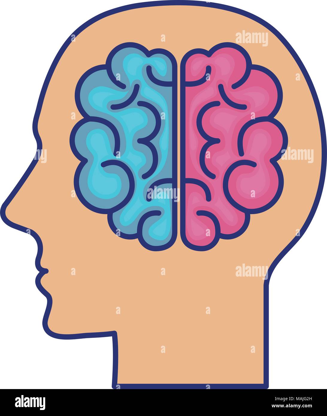 human profile with brain vector illustration design Stock Vector Image ...