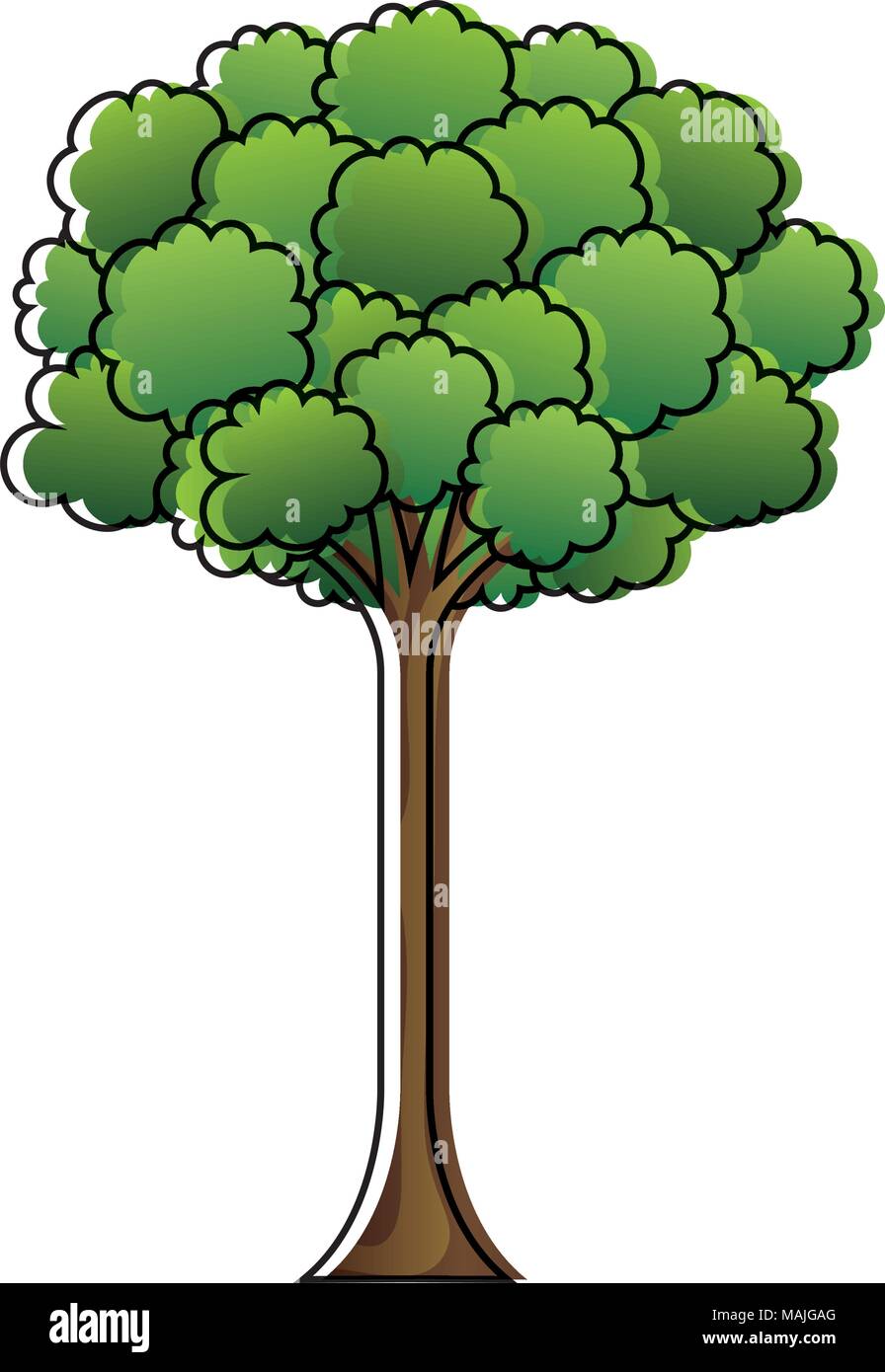 tree plant isolated icon vector illustration design Stock Vector Image ...