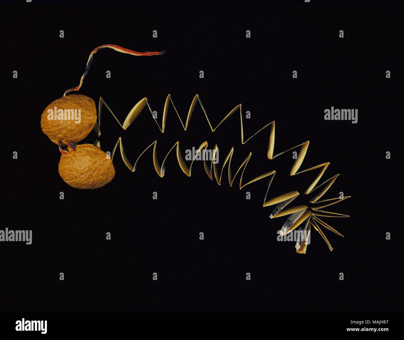 Walnut shell with accordion style miniature images and descriptions