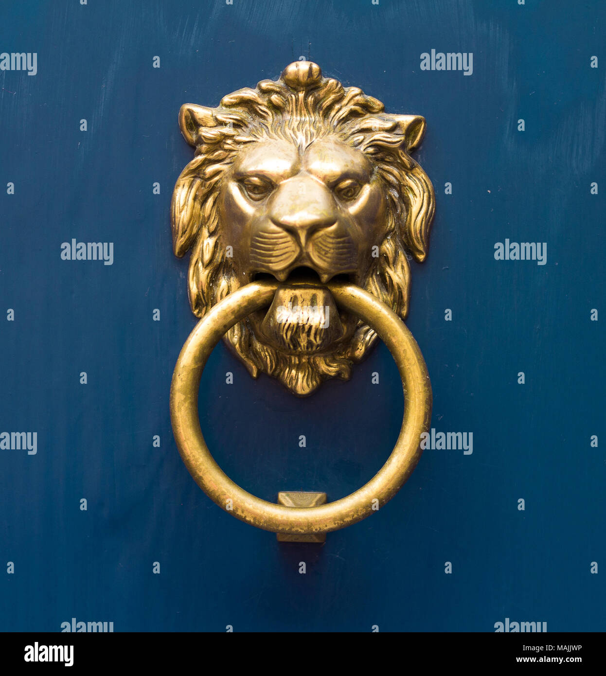 gold lion antique door knob Stock Photo