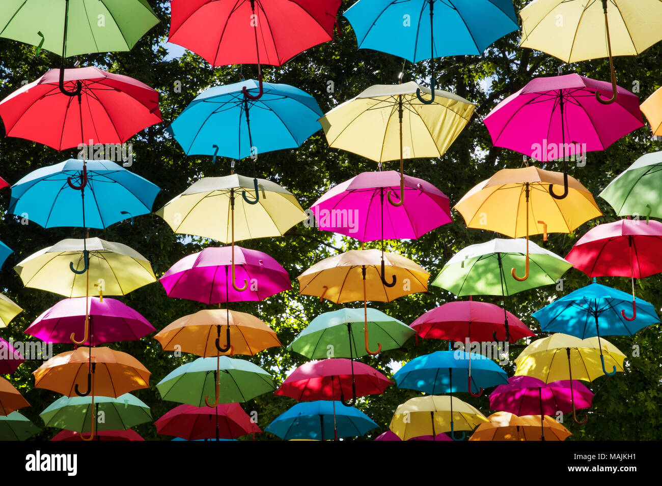 Display of colourful umbrellas hanging over the street, Saumur, France
