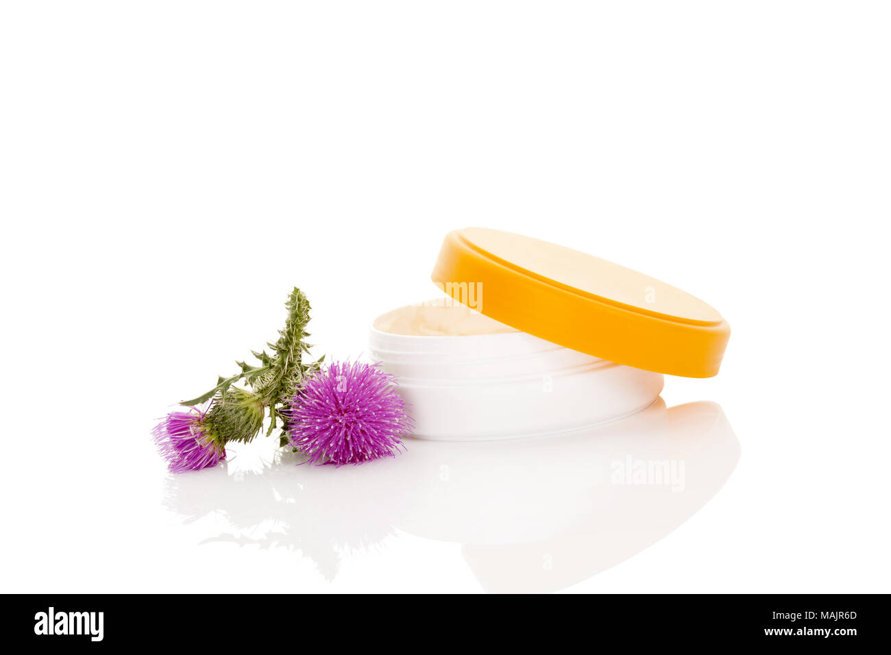 Carduus flower creme with flowers isolated on white background. Medicinal plant. Natural cosmetics. Stock Photo