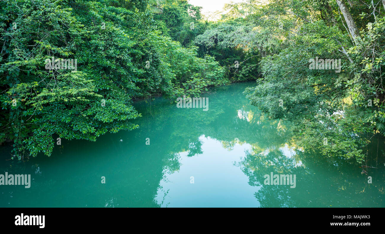 Rio blanco national park, belize hi-res stock photography and images ...