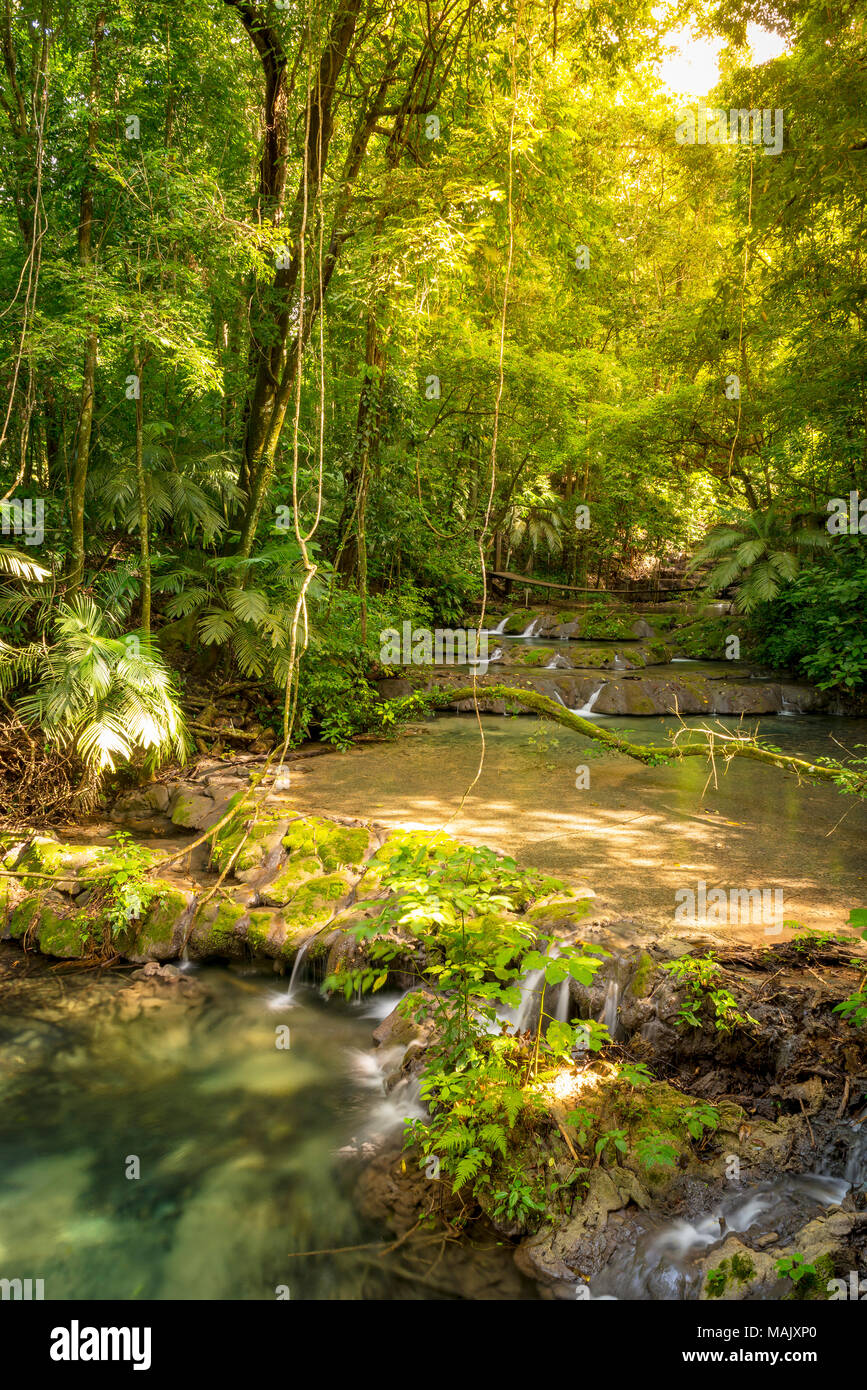 Clean waterfalls in river run through Mexico Jungle Stock Photo Alamy