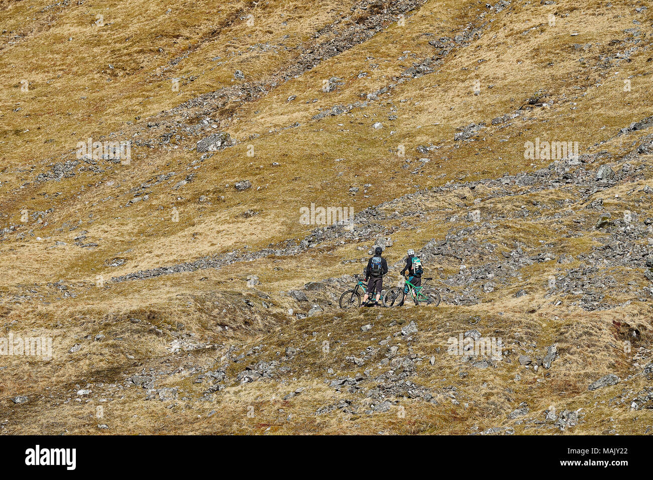 Couple cycling on mountain track Stock Photo