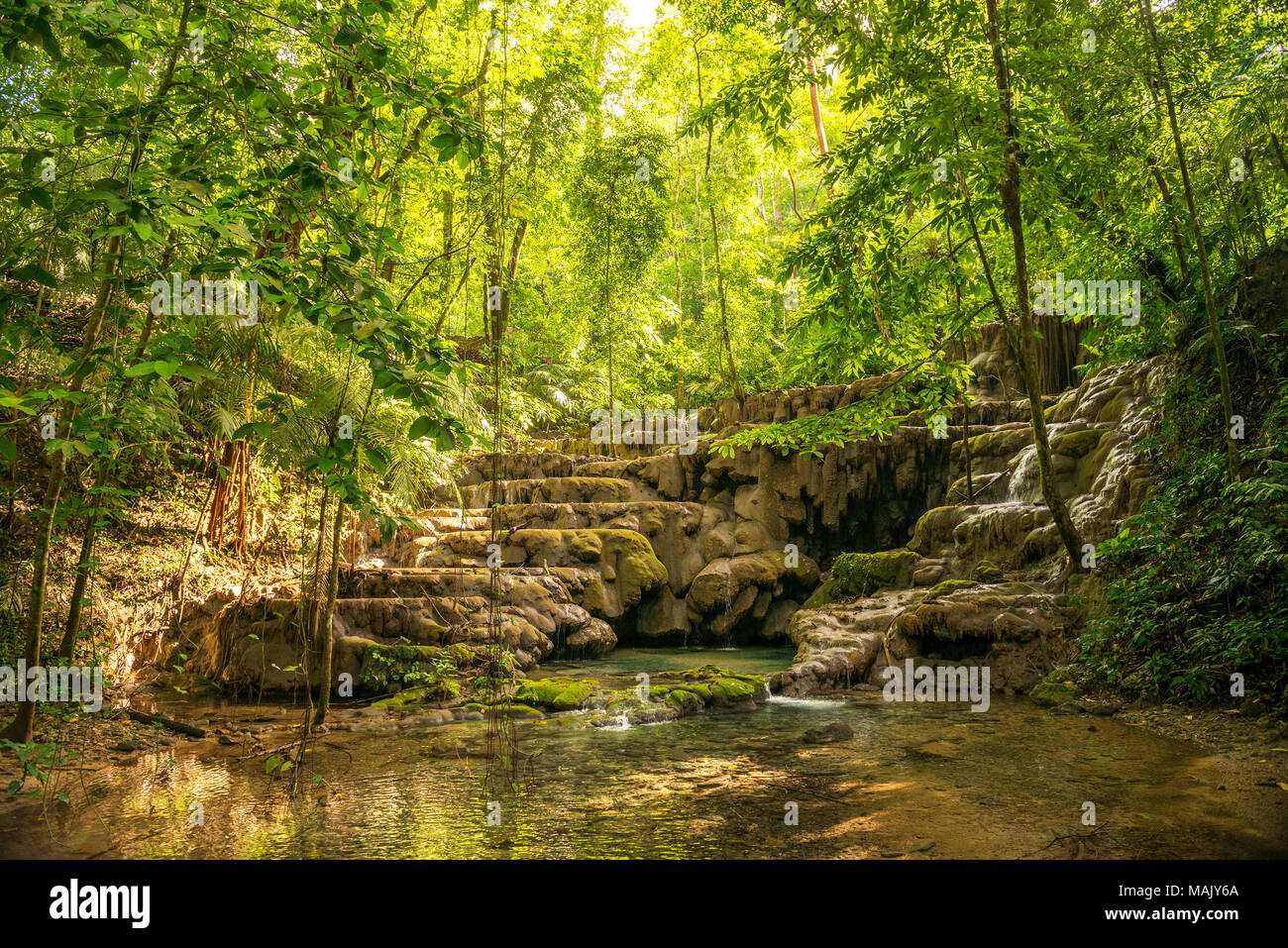 Palenque natural waterfall in lush jungle Stock Photo