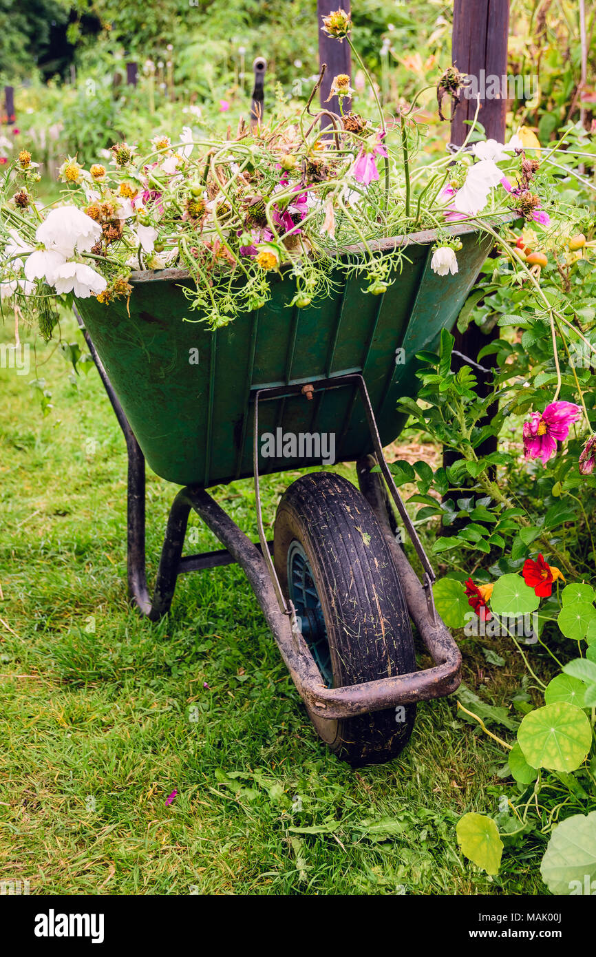 Wheelbarrow flowers hires stock photography and images Alamy