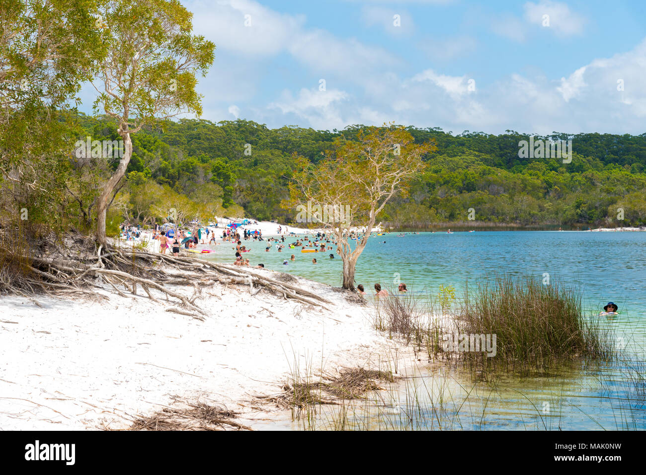 Fraser Island, QLD, Australia - December 31, 2017: People at the beach at Lake McKenzie, one of the popular freshwater lake at Fraser Island Stock Photo