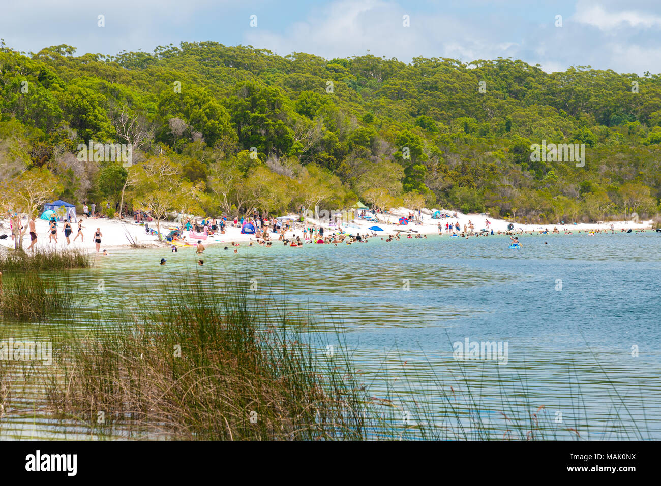 Fraser Island, QLD, Australia - December 31, 2017: People at the beach at Lake McKenzie, one of the popular freshwater lake at Fraser Island Stock Photo