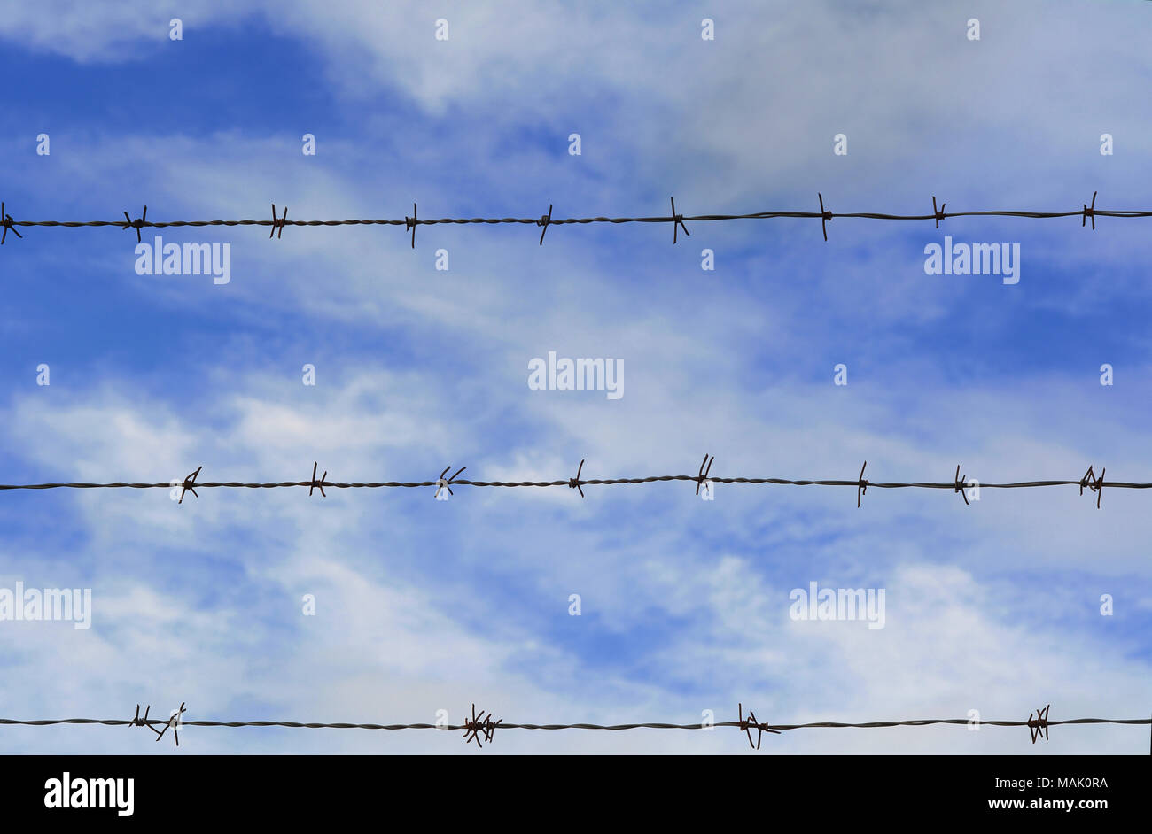 Fence of barbed wire against blue sky with clouds Stock Photo - Alamy