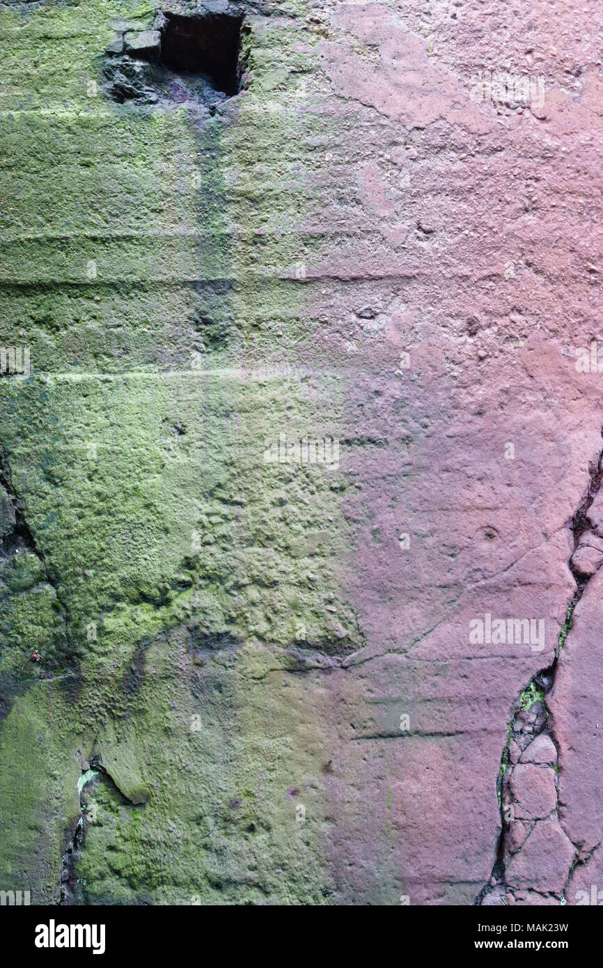A concrete wall as a background covered with old moss Stock Photo