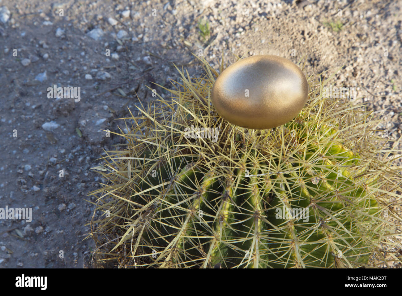Gold nest egg in thorny environment of financial challenges Stock Photo