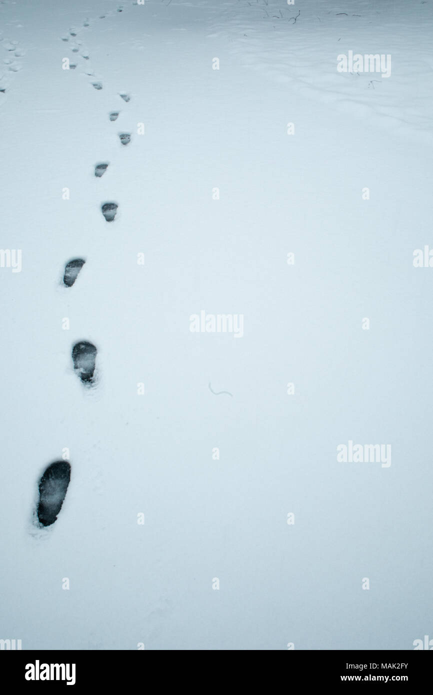 Footprints in the snow Stock Photo