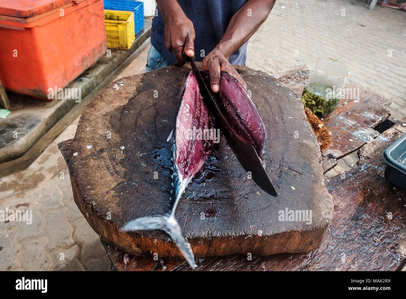 Man cutting fresh tuna with huge knife in Weligama In Sri Lanka Stock
