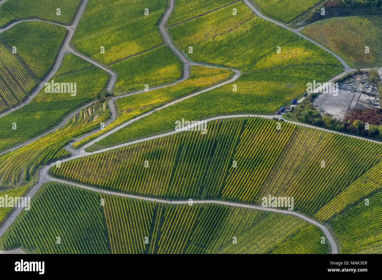 Mosel winegrowing region, vineyards, Wellenstein, Saarland, Grevenmacher, Luxembourg, Europe, aerial view, birds-eyes view, aerial view, aerial photog Stock Photo