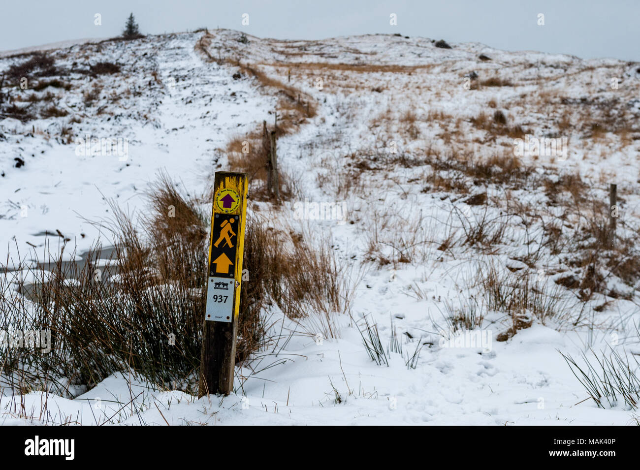 Mount Corrin signpost in the snow during Storm Emma, Ballydehob, West Cork, Ireland with copy space. Stock Photo